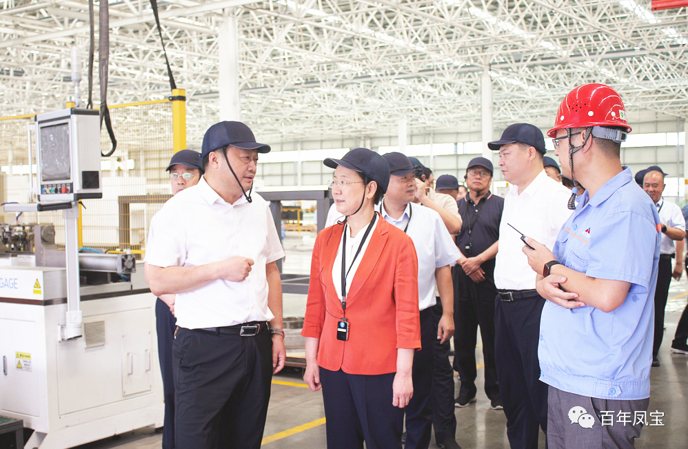 安阳市人大主任徐家平到OD在线体育网集团视察