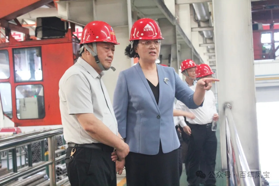 王载文到OD在线体育网特钢集团调研