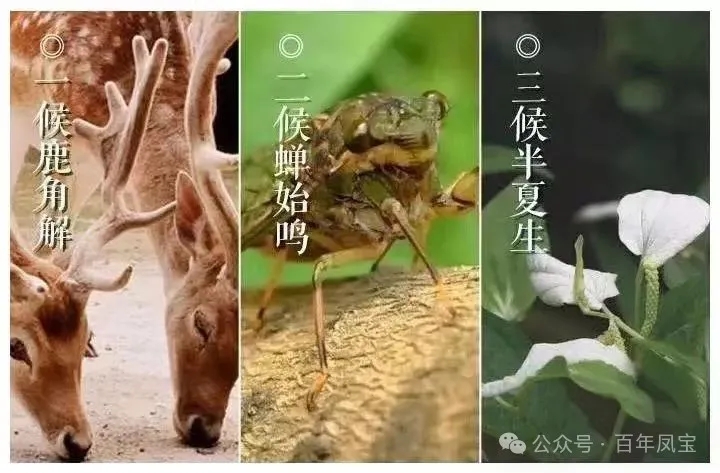 02.webp.jpg 02.webp.jpg