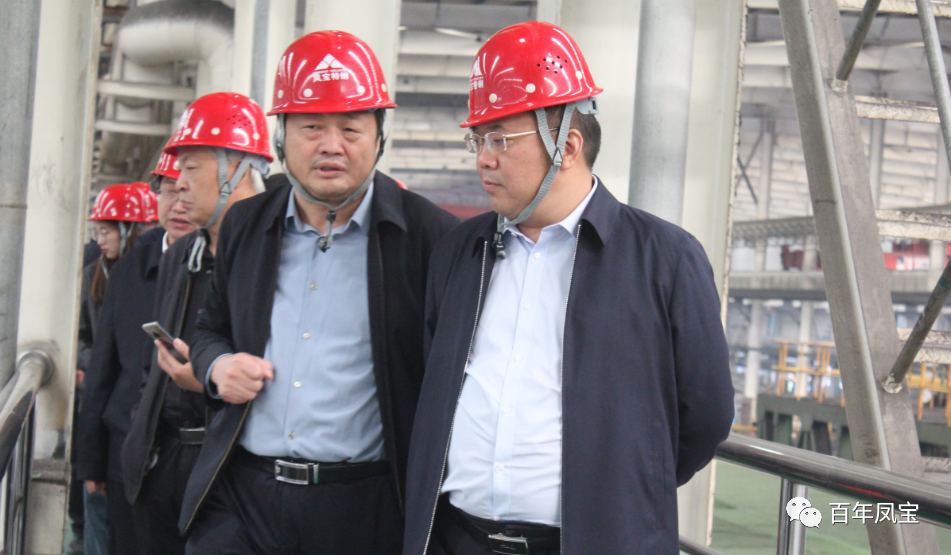 雷鸣到OD在线体育网特钢集团调研指导工作